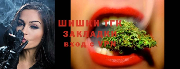 ГАЛЛЮЦИНОГЕННЫЕ ГРИБЫ Алзамай