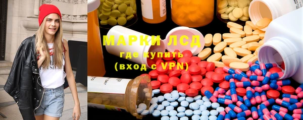 ГАЛЛЮЦИНОГЕННЫЕ ГРИБЫ Алзамай