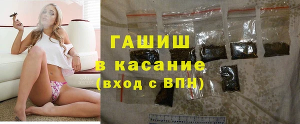 стаф Алексин